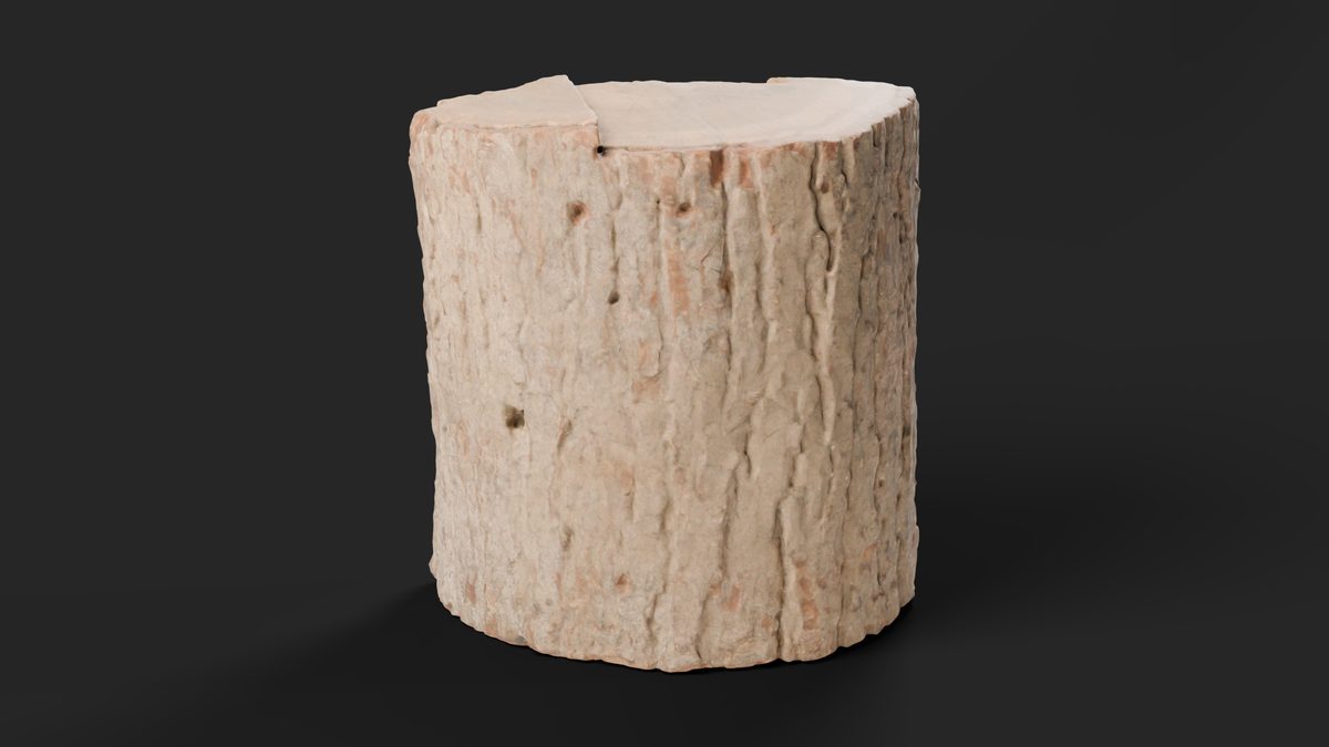 3D scan of a split firewood log standing on end, bark side