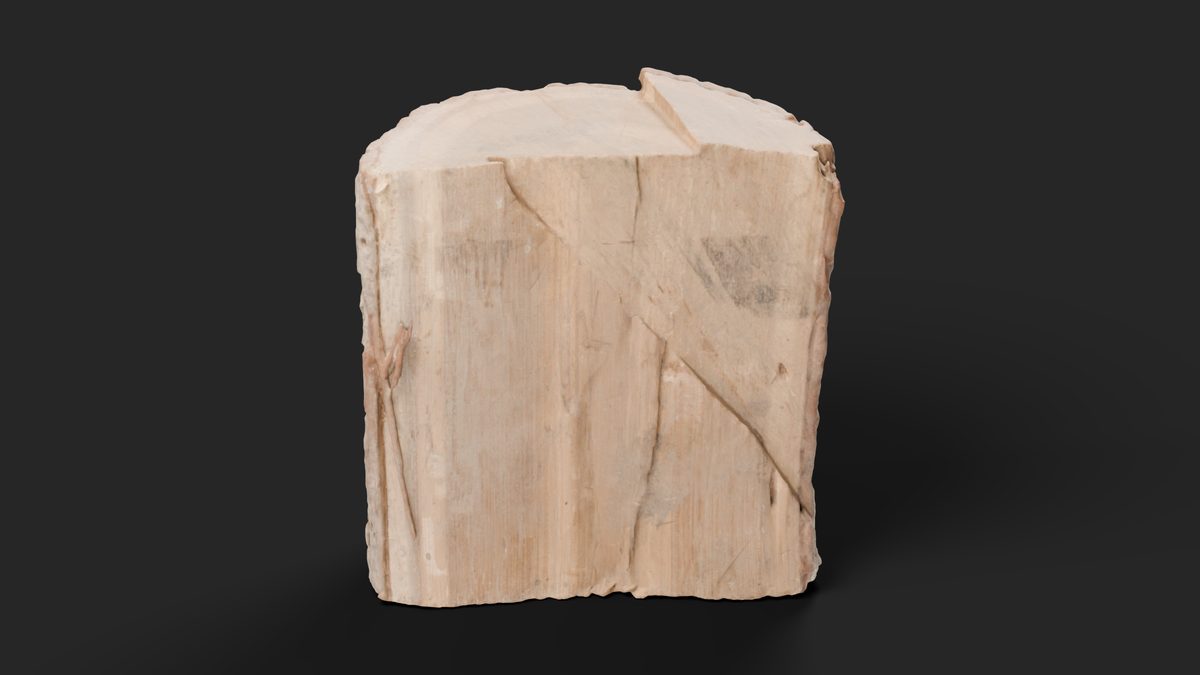 The same log from the split side, with the marks on its split face